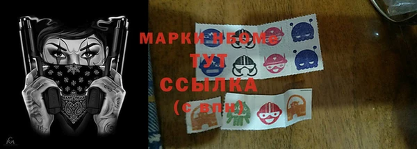 мяу мяу мука Аркадак