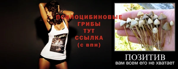 крисы Балахна