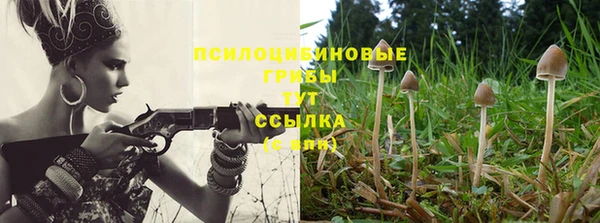 тгк Баксан