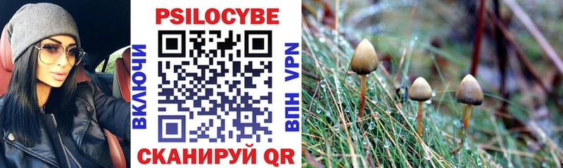 Галлюциногенные грибы Psilocybine cubensis  Горняк 